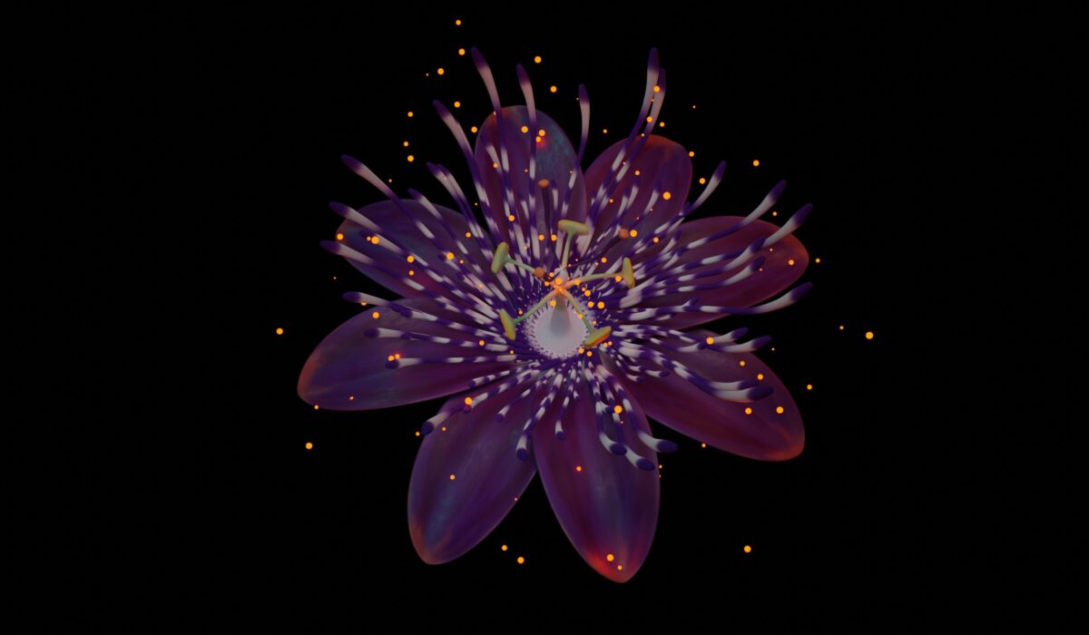 passiflore_03_lumieres